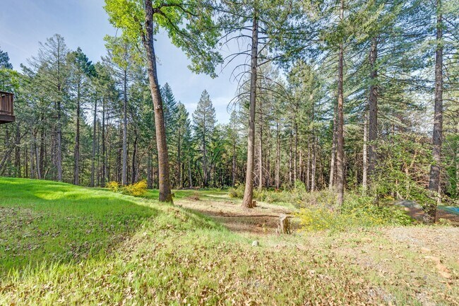 Photo - Updated Georgetown Home on 5 Acres with Huge Deck!