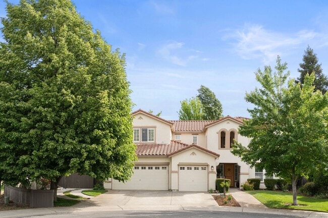 Beautiful Natomas Park Corner Lot! - Beautiful Natomas Park Corner Lot! House