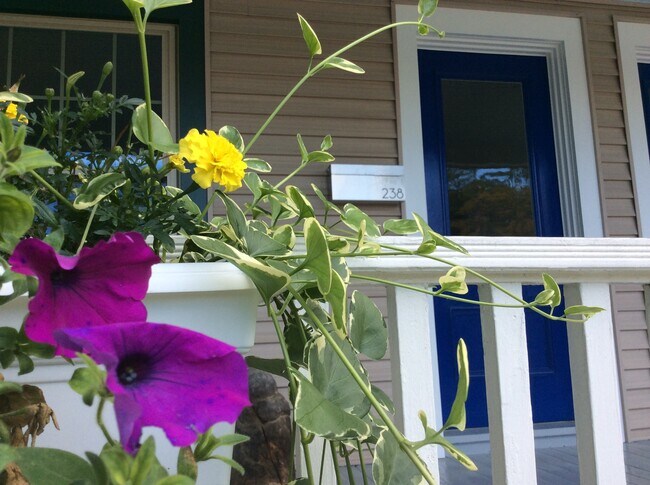 Photo - 238 Fairview St Unidad 238 Fairview Street