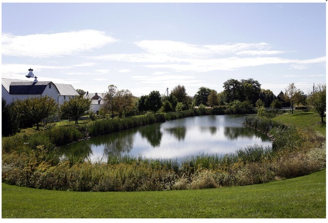 Pond