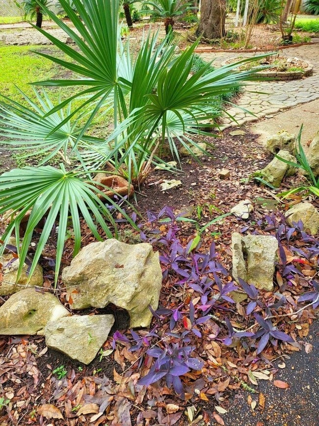 Photo - 706 Maple St