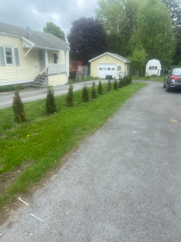 Photo - 25 Bridge St