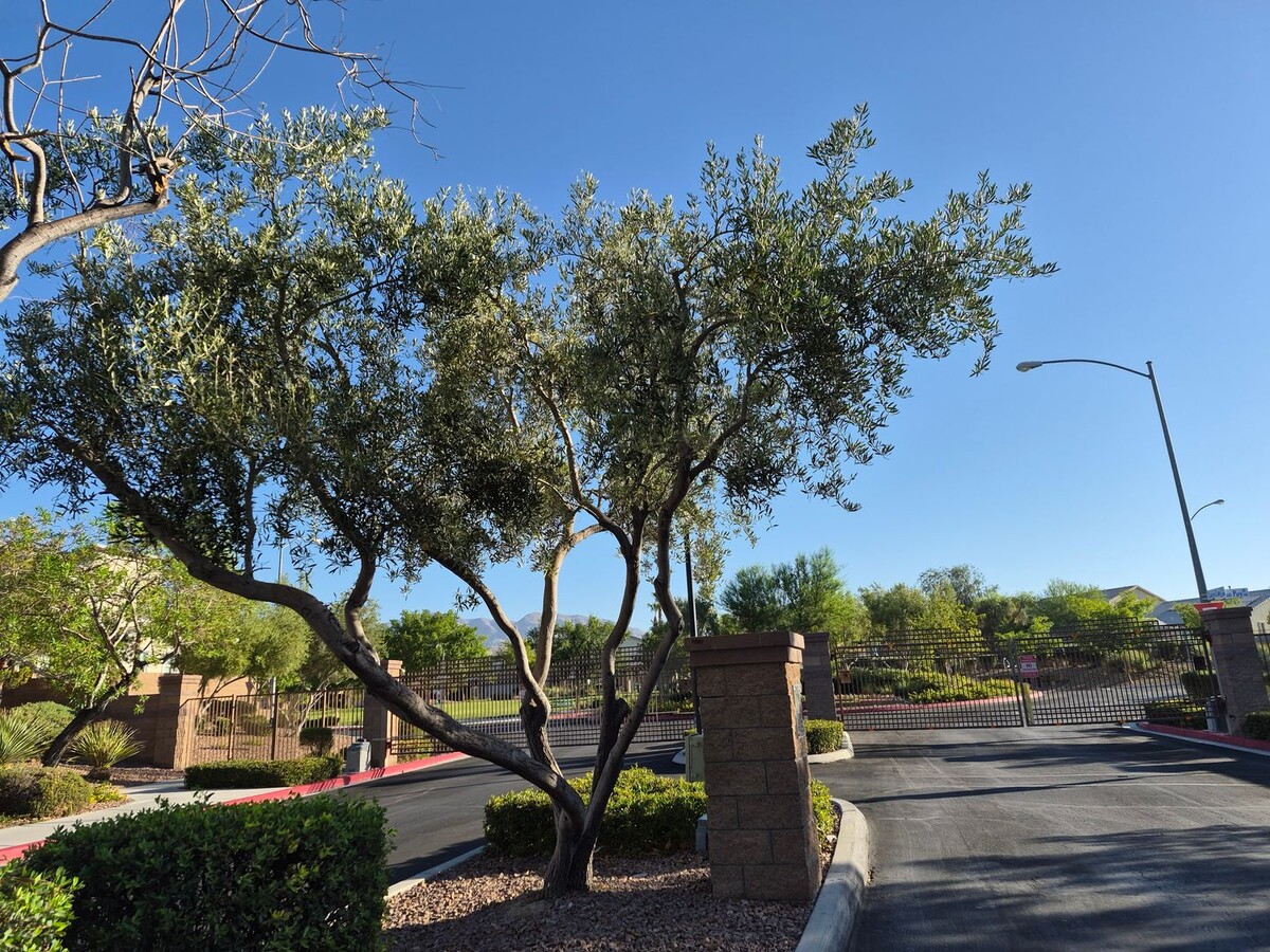 Photo - NW 4 bed 3 full bath Gated