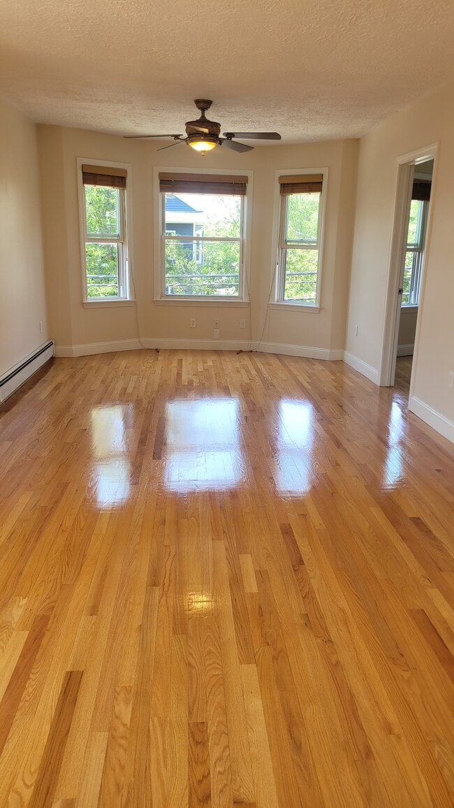 Huge open LR-DR - 118 W Adams St Unit 118