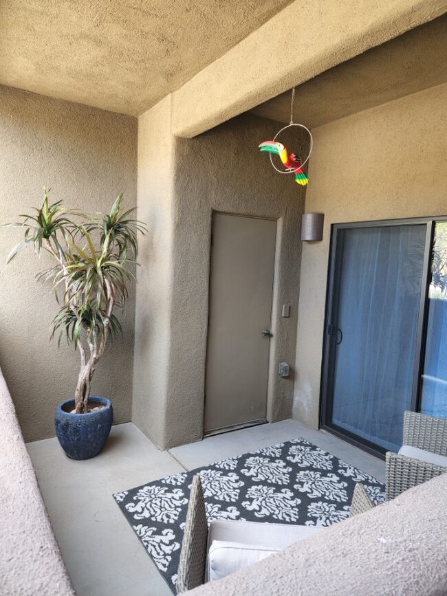 Patio - 2028 E River Rd Unit Placeta Escondida