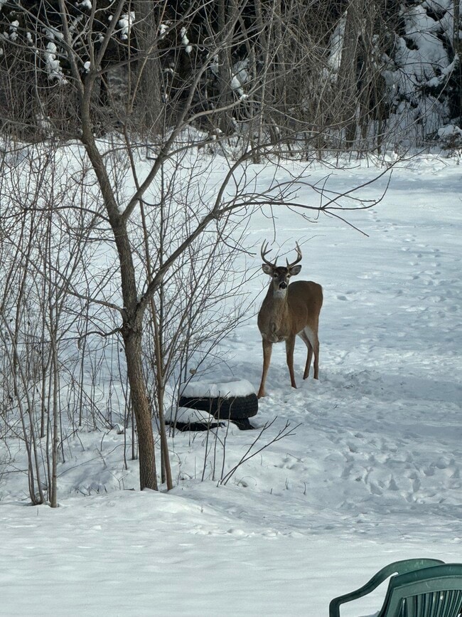Apartamento con vistas al este - 1436 E 100th Rd Unidad The Lodge