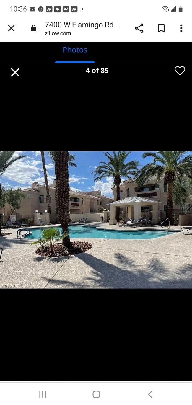 Pool Area - 7400 W Flamingo Rd Unit 1029