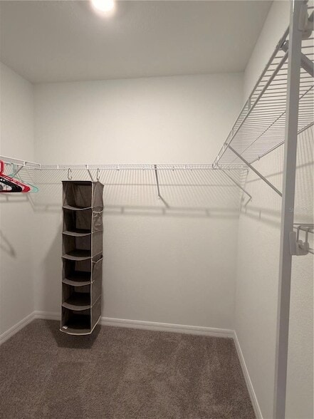 Photo - 3410 Ivy Hollow Dr