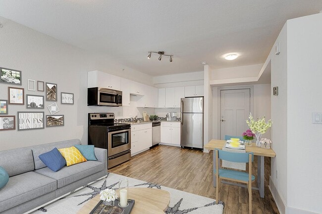 Photo - The Barrister