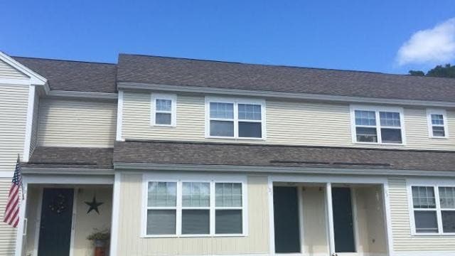 Photo - Osprey Landing