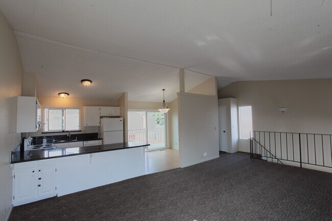 Living Room and Kitchen - 1968 Dolphin Dr