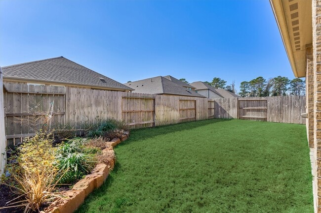 Photo - 9622 Blue Water Hyssop