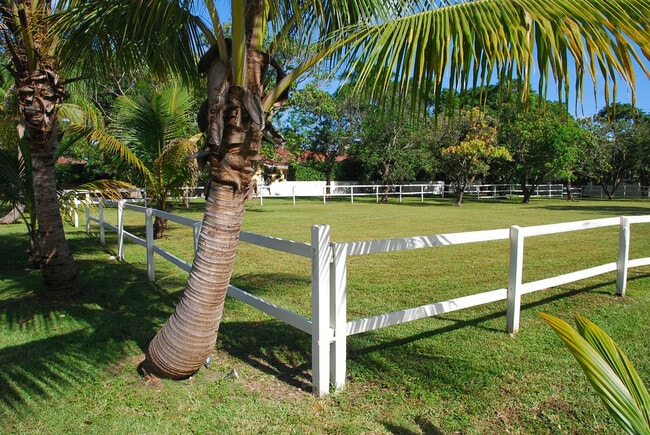 Photo - 6950 SW 77th Ave Unidad SI FL1-ID1539600P