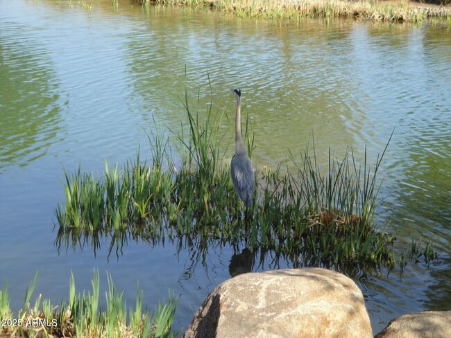 Photo - 1634 E Canyon Creek Dr