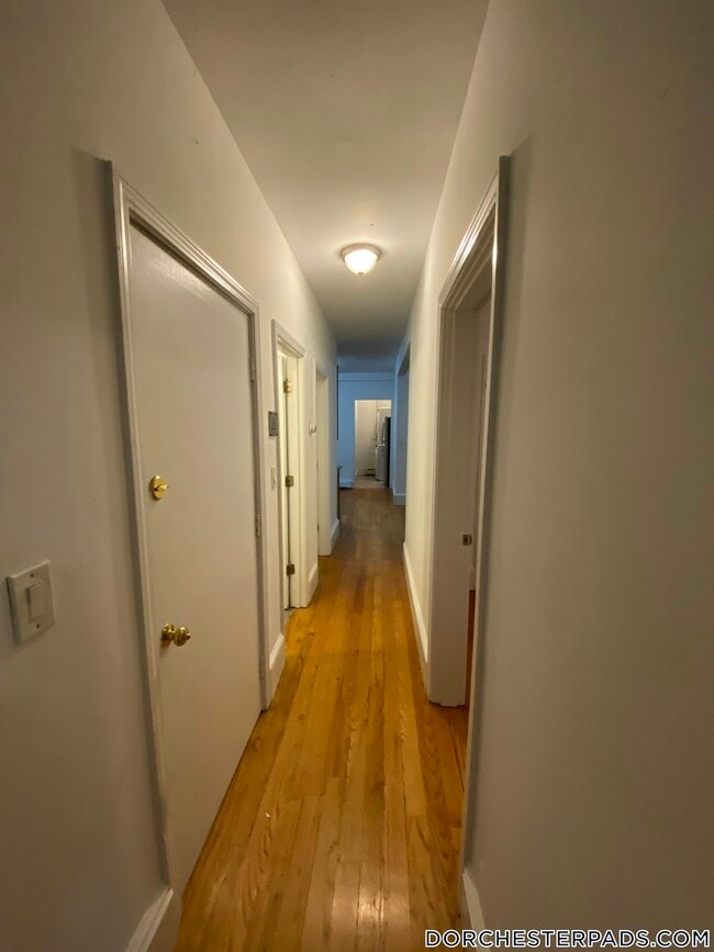 16 Bird St Unit 2