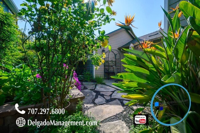 Photo - Mare Island! Large gorgeous home available now!