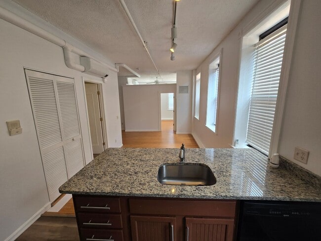 Photo - Beautiful and Spacious 1 Bedroom Apartment DOWNTOWN! MUST SEE! Unit 303