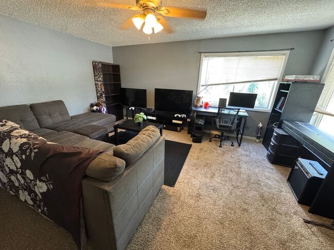 Photo - 229 B St Unit 233