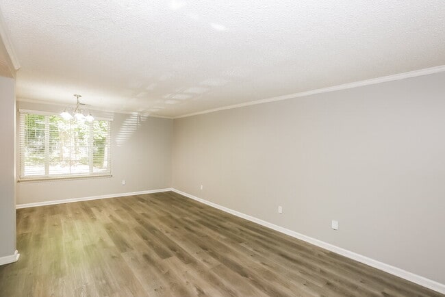 6204 Judas Tree Ln
