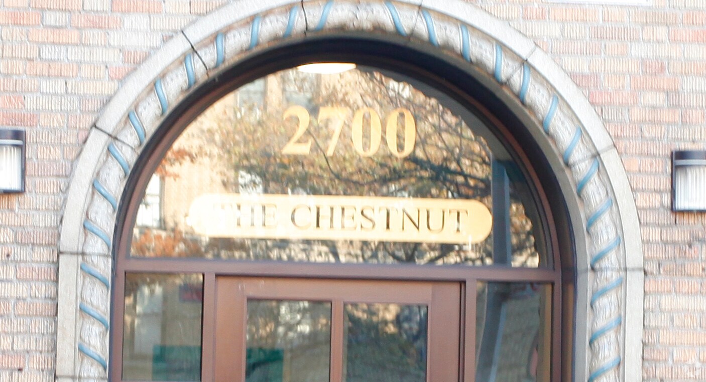 The Chestnut - The Chestnut