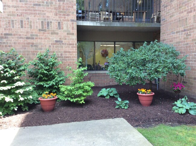 Photo - Grovewood Manor