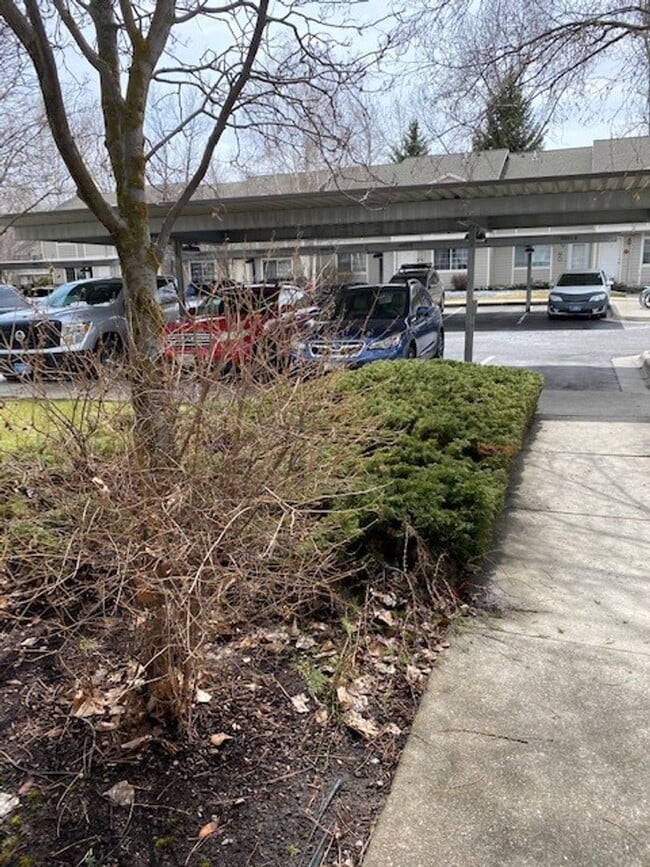 Photo - 2 Bed 1.5 Bath Townhouse in Missoula