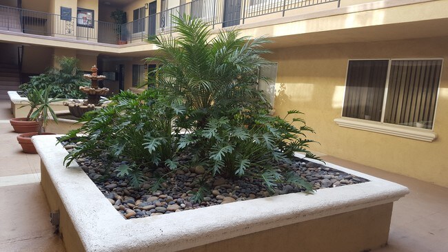 Green court yard with relaxing fountain