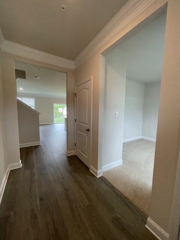 Photo - 12 buttercup Cir