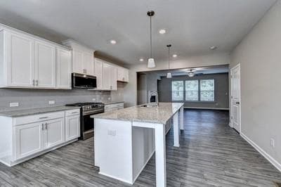 Photo - 4635 White Buckeye Dr