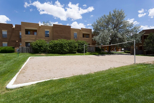 Sand Volleyball Court