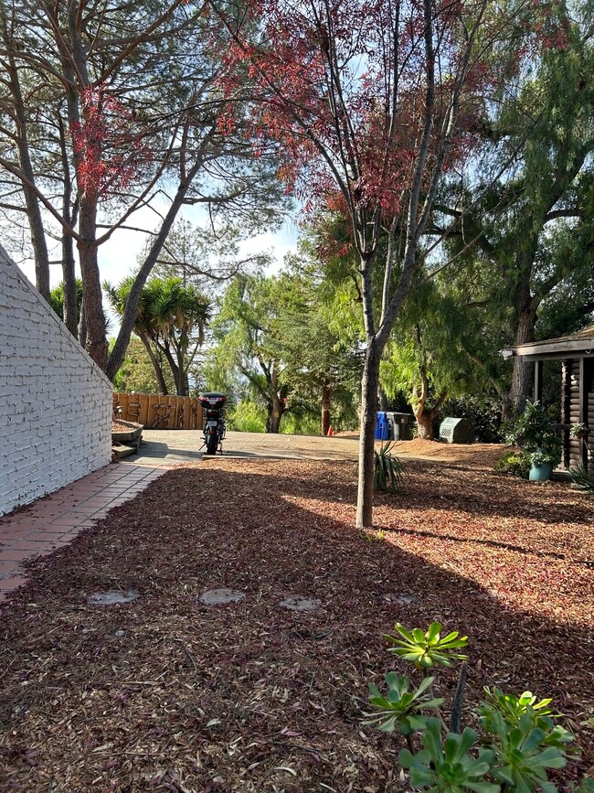 Photo - 505 Durham Rd