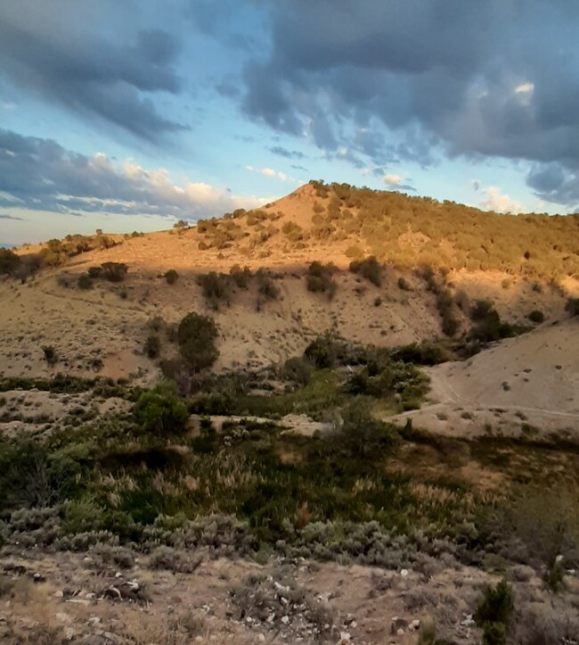 Photo - 16921 Red Tail Rd