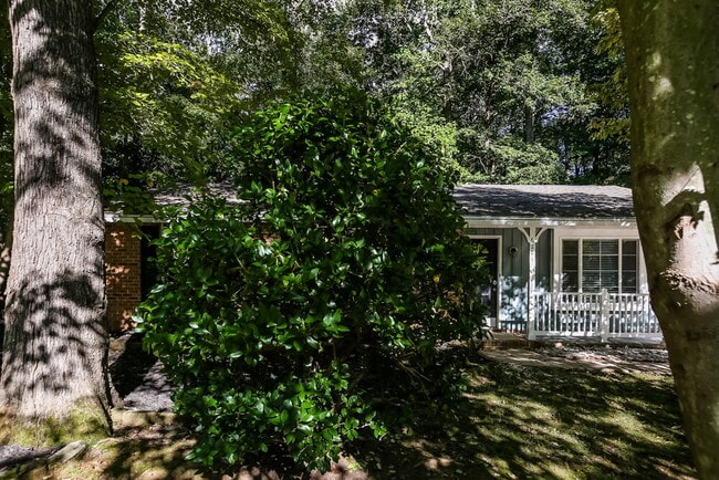 6204 Judas Tree Ln
