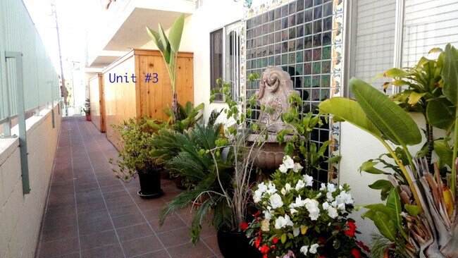 Photo - 844 7th St Unidad 3