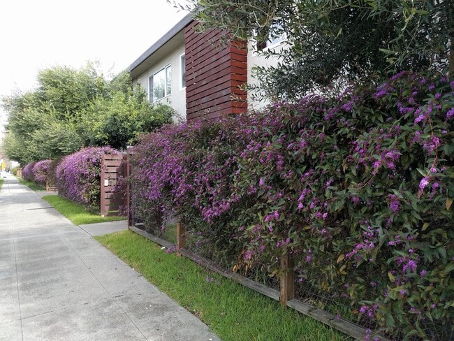 Photo - 2249 Bonar St