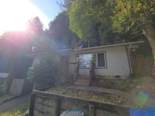 Photo - 3BD Sunny Brae home nestled in the Redwoods!