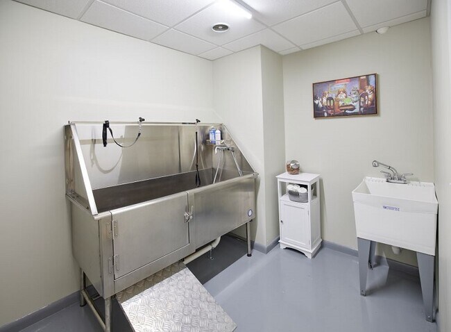 Dog Wash Groom Room
