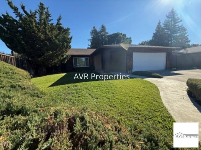 Building Photo - Gorgeous backyard with new carpets and paint