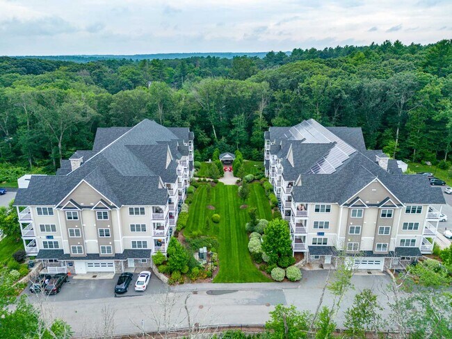 Ashland Woods