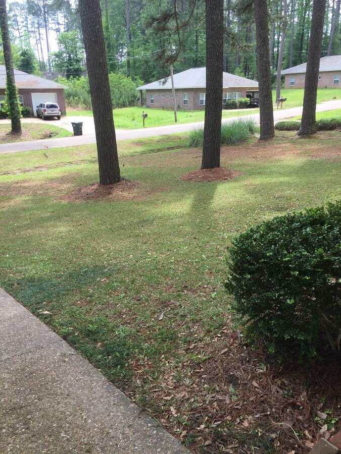 Photo - 1100 Glenwood Dr