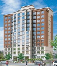 Primary Photo - The Shelton