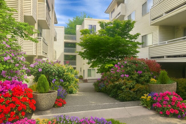 Thornton Creek Apartments