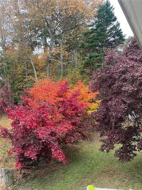 Photo - 156 Plantation Trce