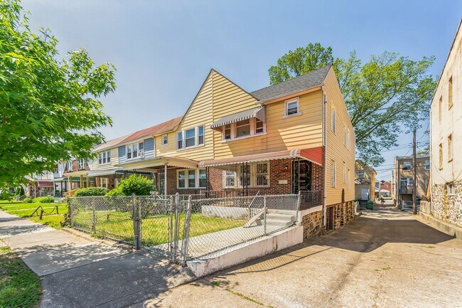 Photo - Narcissus Unidad 2