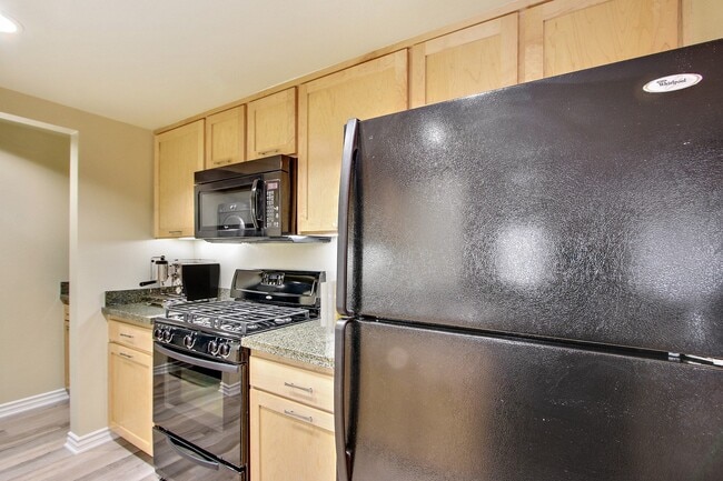 Photo - Olive Encino