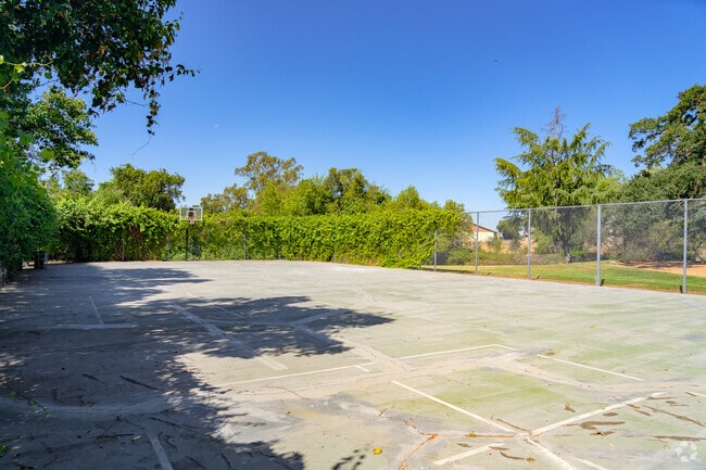 Basketball Court