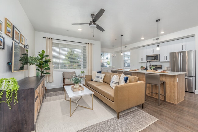 Olivia Apartments