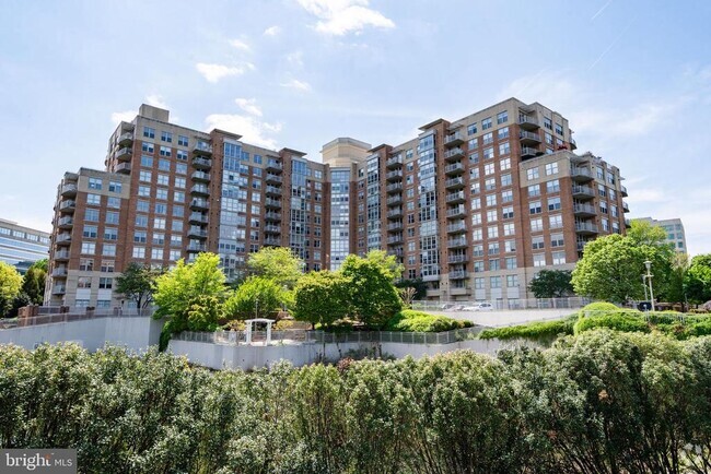 Building Photo - 11800 Sunset Hills Rd Unit 203 Rental