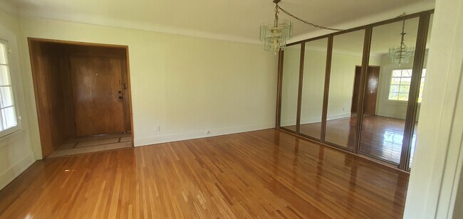 Living rm mirrors