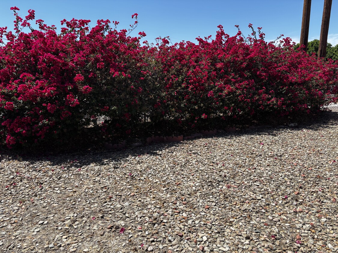 Beautiful - 3030 W Marshall Ave (Phoenix, AZ)